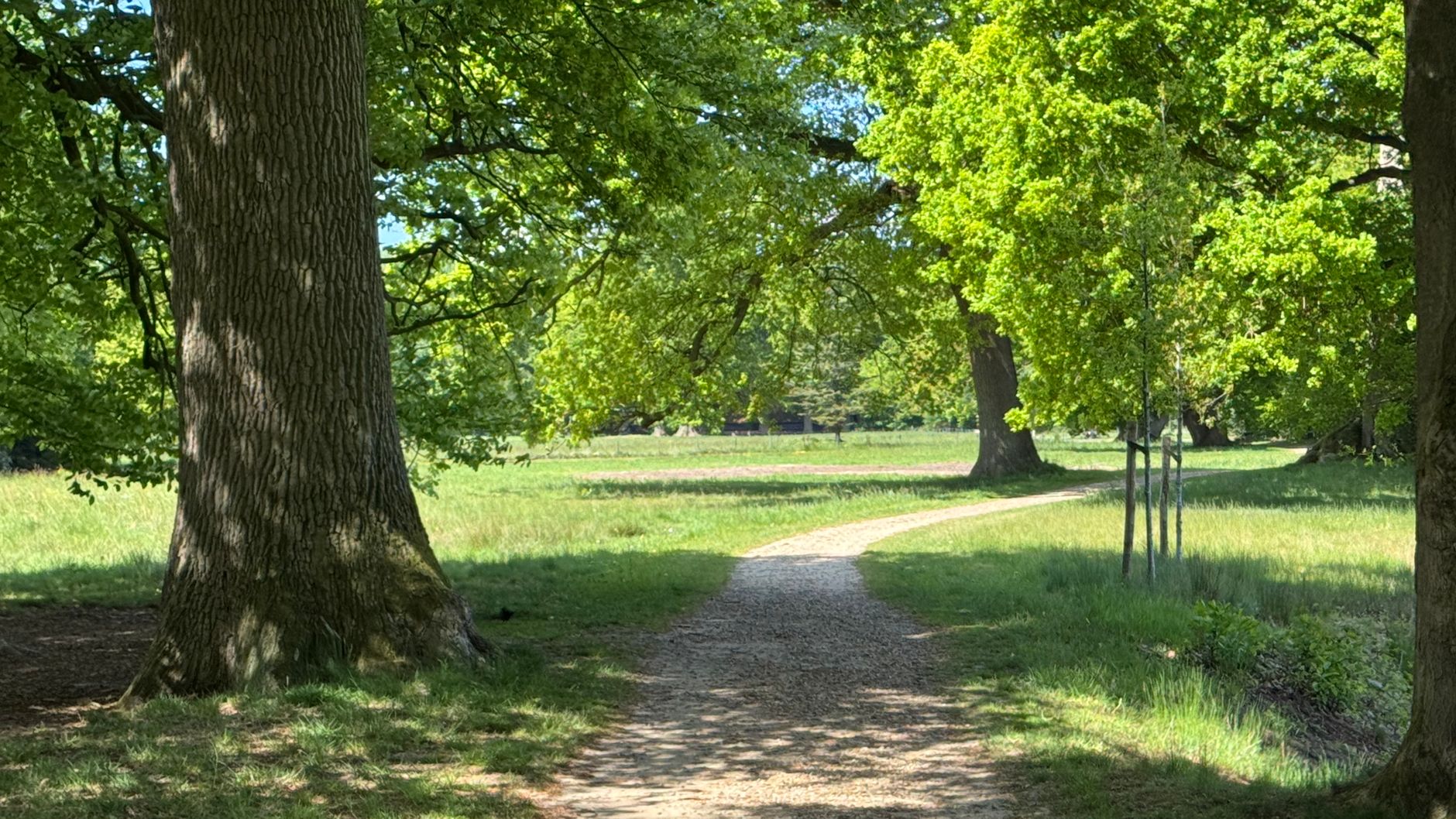 Lutte contre les nuisibles à Saint-Maur-des-Fossés